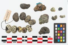 Foto von Glasaugenperle (NHMW-PRAE-026867)